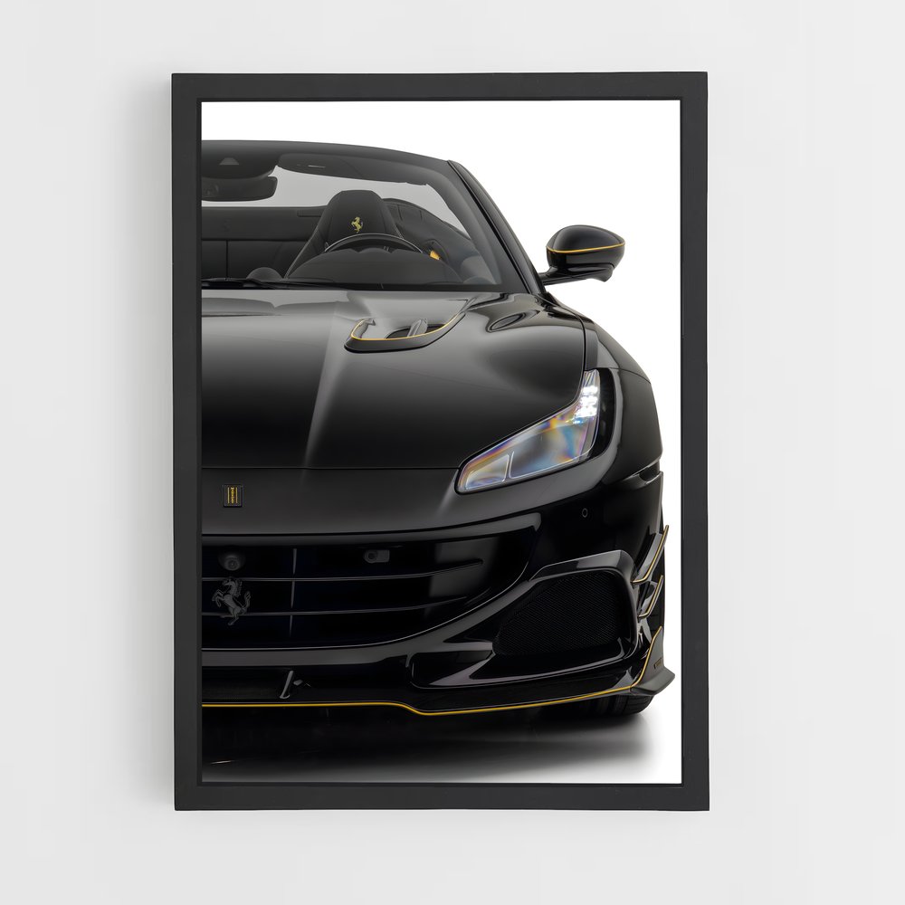 Poster Vision Ferrari (vue 2)